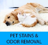 Pet Stain, Pet Urine, and Pet Odor Removal El Cajon Ca