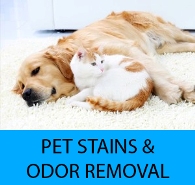 Pet Stain, Pet Urine, and Pet Odor Removal La Mesa Ca